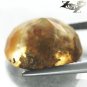 12.97 CT.RARE COLLECTION NATURAL OVAL PERFECT PLANT CRYSTAL HONEY TREE AGATE