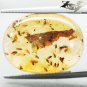 8.48 CT.RARE NATURAL OVAL INSECTS FOSSILS INSIDE WHOLE PIECE RICH YELLOW COPAL