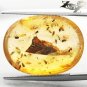 8.48 CT.RARE NATURAL OVAL INSECTS FOSSILS INSIDE WHOLE PIECE RICH YELLOW COPAL
