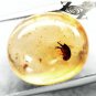 9.9 CT.RARE NATURAL OVAL PERFECT BIG FLEA FOSSIL RICH WHISKEY YELLOW COPAL GEMS
