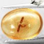 2.47 CT.RARE COLOR NATURAL OVAL PERFECT INSECT FOSSILS RICH WHISKEY ORANGE COPAL