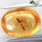 2.47 CT.RARE COLOR NATURAL OVAL PERFECT INSECT FOSSILS RICH WHISKEY ORANGE COPAL
