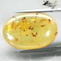 12.18 CT.RARE GRADE NATURAL OVAL PERFECT INSECT FOSSILS LOT RICH YELLOW COPAL