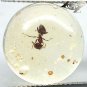 5.74 CT.NATURAL ROUND PERFECT BIG ANT INSIDE YELLOW MADAGASCAR COPAL