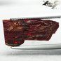 2.76 CT.RARE NATURAL XTREM IRIDESCENCE PLAY RED COLOR 2 SIDE DRAGON AMMOLITE