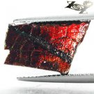 3.09 CT.BIG RARE NATURAL IRIDESCENCE PLAY RICH RED COLOR 2 SIDE DRAGON AMMOLITE
