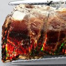 7.65 CT.RARE GRADE NATURAL IRIDESCENCT XTREM PLAY RAINBOW COLOR AMMOLITE SLAB