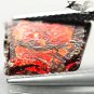 RARE COLOR NATURAL IRIDESCENCE PLAY CRIMSON RED DRAGON AMMOLITE SLAB 1.59 CT.
