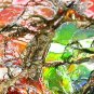 4.22 CT.RARE QUALITY NATURAL IRIDESCENT PLAY COLOR 2 SIDE DRAGON SKIN AMMOLITE