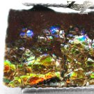 3.03 CT.NATURAL IRIDESCENCE XTREM PLAY RAINBOW COLOR DRAGON SKIN AMMOLITE SLAB