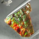 3.94 CT.NATURAL IRIDESCENCE XTREM PLAY RAINBOW COLOR DRAGON SKIN AMMOLITE SLAB
