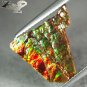 3.94 CT.NATURAL IRIDESCENCE XTREM PLAY RAINBOW COLOR DRAGON SKIN AMMOLITE SLAB