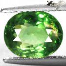 2.25 CT.UNUSUAL RARE NATURAL OVAL PLAY RAINBOW COLOR RICH TOP GREEN APATITE