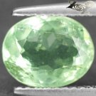 2.55 CT.STRANGE RARE NATURAL OVAL PLAY ORANGE COLOR LEMON GREEN APATITE GEM