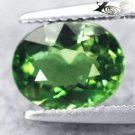 2.3 CT.RARE EYE CLEAN FIRELY NATURAL OVAL RICH GREEN MADAGASCAR APATITE GEMSTONE