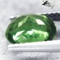 2.3 CT.RARE EYE CLEAN FIRELY NATURAL OVAL RICH GREEN MADAGASCAR APATITE GEMSTONE