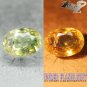 ULTRA RARE NATURAL OVAL GREEN COLOR CHANGE GREEN AXINITE 1.45 CT.LOOSE GEM