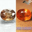 7.33 CT.BIG RARE NATURAL OVAL COLOR SHIFT CHAMPAGNE FRANCE FERRO AXINITE GEM