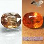 7.33 CT.BIG RARE NATURAL OVAL COLOR SHIFT CHAMPAGNE FRANCE FERRO AXINITE GEM