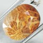 5.39 CT.RARE PERFECT PATTERN NATURAL OVAL AGATIZED FOSSILLIZED CALCAREOUS CORAL
