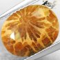 4.01 CT.RARE PATTERN NATURAL OVAL RED BROWN SUNRAY FOSSILLIZED CALCAREOUS CORAL