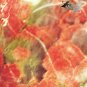 8.77 CT.RARE COLOR NATURAL OVAL GREEN RED ORANGE CRYSTAL WHITE UNAKITE GEM