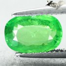 2.66 CT.BIG NATURAL OVAL RICH GREEN KENYA VOI TSAVORITE GARNET LOOSE GEMSTONE