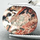 6.08 CT.RARE COLOR NATURAL OVAL MULTI COLOR AFRICA LEOPARD SKIN JASPER GEMS