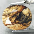 4 CT.RARE PATTERN NATURAL OVAL BLACK SPOTS BROWN VEIN AFRICA PICTURE JASPER GEM