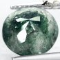 3.02 Ct.Natural Round 10 mm. Green Dendritic inside Crystal white Moss Agate Gem