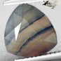 3.74 CT.Unusual Natural Trillion 10.5mm. Black Plants Honey Brown Layer Sardonyx