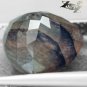 3.74 CT.Unusual Natural Trillion 10.5mm. Black Plants Honey Brown Layer Sardonyx