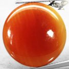 15.05 CT.Natural Round Cabochon 20 mm. Sunset Orange Red Africa Carnelian Agate