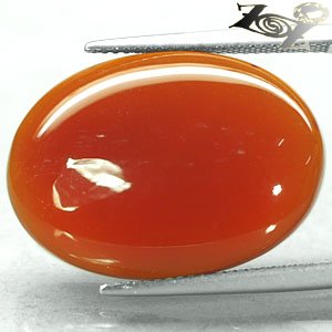 20.28 CT.Natural Oval 18*25 mm. Intense Sunset Red Orange Carnelian Agate &ccedil;�&ordf;&ccedil;��