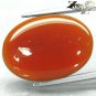 20.28 CT.Natural Oval 18*25 mm. Intense Sunset Red Orange Carnelian Agate &ccedil;�&ordf;&ccedil;��