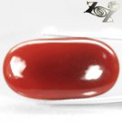 23.48 Ct.Natural Oval 9*35 mm. Red Orange Africa Carnelian Agate Gemstones