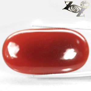 23.48 Ct.Natural Oval 9*35 mm. Red Orange Africa Carnelian Agate Gemstones