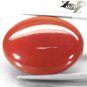 33.39 CT.VVS 1 Natural Oval 21*30 mm. Red Orange Africa Carnelian Agate Gemstone