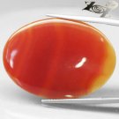 21.54 CT.Natural Oval 25*34 mm. Intense Sunset Red Orange Layers Clear Carnelian
