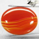 10.87 CT.Natural Oval 15*20 mm. Intense Banded Sunset Red Orange Africa Carnelian Sardonyx
