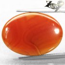13.17 CT.Natural Oval 18*25 mm. Banded Sunset Red Orange Africa Sardonyx Carnelian