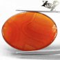 13.17 CT.Natural Oval 18*25 mm. Banded Sunset Red Orange Africa Sardonyx Carnelian