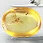 6.33 CT.Natural Oval 15*19 mm Perfect Big Moth Fossil Madagascar Yellow Copal &aelig;�&macr;&aring;&middot;&acute;