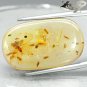 16.78 CT.Natural Oval 22*29mm Perfect Spider Ant Moth Fossil Brandy Yellow Copal
