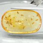 16.78 CT.Natural Oval 22*29mm Perfect Spider Ant Moth Fossil Brandy Yellow Copal