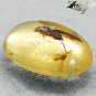 2.57 CT.Natural Oval 10*14.5 mm. Headless Moth Fossil Brandy Yellow Mada Copal