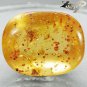 25.62 CT.Natural Oval 22*27.5 mm. Perfect Spider Fossil Madagascar Copal Gems