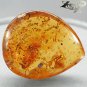 26.76 CT.Natural Pear 28.33 mm. Spider Cockroach Fossils Brandy Yellow Copal Gem