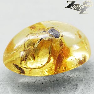 4.71 CT.Natural Oval 11.5*17 mm. Headless Tiger Moth Fossil Yellow Copal Gems