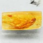 7.35 CT.Natural Cylinder 10*20 mm. Clear Cockroach Fossil Brandy Yellow Copal